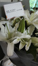 劉閣蘭花蘭花香水石斛蘭盆栽室內(nèi)綠植花卉 25苗當(dāng)年開(kāi)花配大白盆源頭直發(fā) 曬單實(shí)拍圖