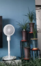 海爾（Haier）家用定時(shí)空氣循環(huán)扇空調(diào)助手搖頭電風(fēng)扇輕音渦輪對(duì)流換氣扇節(jié)能落地扇桌面小型風(fēng)扇 HFX-Y2350A 曬單實(shí)拍圖