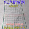 植物爬藤網(wǎng)攀爬網(wǎng)豆角蔬菜瓜類(lèi)尼龍網(wǎng)支架網(wǎng)園藝網(wǎng)百香果種植網(wǎng) 【包邊】 2米寬3米長(cháng) 配扎帶 曬單實(shí)拍圖