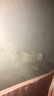小熊（Bear）搖奶器 溫奶器 暖奶一體 嬰兒自動無水熱奶/保溫/解凍四合一 曬單實拍圖