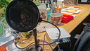 森海塞爾（Sennheiser）MK4/MK8 專(zhuān)業(yè)錄音電容麥克風(fēng)有線(xiàn)直播唱歌配音話(huà)筒全民k歌 MK4+艾肯4nano 曬單實(shí)拍圖