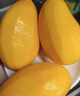 【海南】小臺農(nóng)芒果新鮮5斤小臺芒水果當(dāng)季整箱紅金玉大青煌順豐R 5斤（60g左右小果） 曬單實拍圖