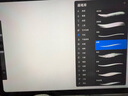 蘋果Apple Pencil 一代/二代 蘋果手寫筆二手蘋果手寫筆/電容筆/觸控筆二手平板電腦配件 蘋果Pencil 一代手寫筆 單筆【99新】 曬單實(shí)拍圖