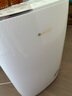 格力（GREE）干衣除濕機 20L/日除濕量 快速干衣 防霉除濕 DH20EF 曬單實(shí)拍圖