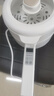 LOTOR電煮鍋電炒鍋迷你宿舍用煮面泡面電蒸鍋電鍋一體多功能電熱火鍋1人2嬰兒輔食鍋 【國家補(bǔ)貼】電炒鍋智能觸控蒸籠款-1.6L 曬單實拍圖