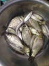 果酸釣魚(yú)小藥大全黑坑野釣專(zhuān)用鯽魚(yú)鯉魚(yú)羅非添劑餌料千里香窩料 【通用套餐】果酸+麝香酒 曬單實(shí)拍圖