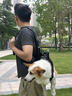 WAKYTU狗狗橫背包單雙肩可斜挎拆卸小中大型犬寵物外出便捷包 適用4-7斤 曬單實拍圖
