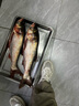 釣魚王霸王悍S大物竿手竿黑坑鰱鳙巨物青草鱘魚釣魚竿7.2m 曬單實拍圖