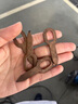 工途（Gongtu）汽車外形修復(fù)機(jī)配件鈑金修復(fù)機(jī)介子墊片整形修復(fù)機(jī)圓形鍍銅墊片  【OT墊片】200片 曬單實(shí)拍圖