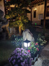 花園別墅新中式太陽能庭院燈草坪燈地插燈室外園林景觀燈戶外花園防水路燈 85厘米高（接電 底座） 曬單實拍圖