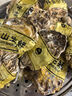 鮮海道 鮮活乳山生蠔4XL 凈重5斤 10-14只 生鮮海鮮貝類 源頭直發(fā) 曬單實拍圖