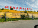 蘇泊爾（SUPOR）便攜式燒水壺電水壺折疊0.8L 旅行出差家用養(yǎng)生沖奶電熱水壺學(xué)生304不銹鋼泡面杯 SW-08J01 曬單實(shí)拍圖