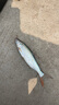 SHIMANO 禧瑪諾21新款榮光 4代 POISON GLORIOUS 路亞竿日本進(jìn)口魚(yú)竿 2.11米 1611ML/H槍柄中軟 曬單實(shí)拍圖