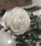 Canon佳能600D 700D 850D 750D學(xué)生入門級(jí)二手?jǐn)?shù)碼單反相機(jī)人像小痰盂鏡頭高清旅游 700D+18-135 IS STM 【套機(jī)】 95新 曬單實(shí)拍圖