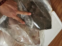 新鮮特大偏口魚巖碟魚不是鴉片魚不是多寶魚深海海鮮海魚整條 偏口魚2條【1斤/條】 曬單實拍圖