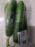 【水果菜】荷蘭水果黃瓜約600g 曬單實(shí)拍圖