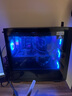 華碩全家桶AMD R7 7800X3D/RTX5070Ti顯卡/32G D5/1T游戲電競臺式整機(jī)設(shè)計(jì)師電腦主機(jī)國家補(bǔ)貼20% 曬單實(shí)拍圖