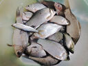 中逵立即爆護(hù)冬季釣鯽魚(yú)餌料野釣專用濃腥紅蟲(chóng)蛋白鯉魚(yú)草鳊魚(yú)食料 立即爆護(hù)腥400g+香400g 曬單實(shí)拍圖