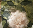 babycare一次性內(nèi)褲山茶花孕產(chǎn)婦日拋待產(chǎn)出差旅行女 L碼30條【安全滅菌】 曬單實(shí)拍圖
