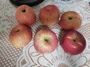 洛川蘋果（luochuanapple）【順豐】陜西延安紅富士蘋果洛川蘋果產(chǎn)地直發(fā)脆甜多汁能帶皮吃 90mm 果4.5斤爆賣6±顆有空格 曬單實(shí)拍圖