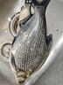 KERRY面包蟲(chóng)活體飼料黃粉蟲(chóng)鳥(niǎo)魚(yú)龜蜥蜴金龍魚(yú)鬃獅蝎子守宮食物幼體幼蟲(chóng) 1000條+養殖盒+中包麥麩（鮮活） 曬單實(shí)拍圖