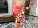 速浪雙層泳褲男士短褲游泳健身泡溫泉大碼防尷尬 侏羅紀(jì)公園 XXXL 曬單實(shí)拍圖