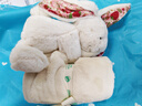 Jellycat英國高端毛絨玩具 花布乳白色邦尼兔安撫巾15cm 嬰兒新生兒禮物 曬單實(shí)拍圖