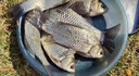 量杯釣魚(yú)開(kāi)餌料杯盆加厚漁具餌料杯刻度量杯釣魚(yú)用品摔不壞 【4件套】刻度魚(yú)餌量杯 曬單實(shí)拍圖