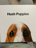 暇步士（Hush Puppies）皮帶女簡約優(yōu)雅腰帶經(jīng)典針扣皮帶送女友送老婆生日禮物送女朋友 曬單實(shí)拍圖