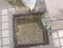 化糞池溶解劑化糞為水衛生間養殖場(chǎng)除臭強力分解大便微生物化糞劑 買(mǎi)三贈五【發(fā)8瓶】適合養殖場(chǎng) 曬單實(shí)拍圖