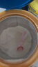 美贊臣藍臻 兒童奶粉 配方調(diào)制乳粉4段（3歲以上）800g 全面營養(yǎng) 自護力 曬單實拍圖