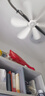 小吊扇調(diào)速器智能遙控定時延長電源線魚燈小吊扇宿舍帶開關(guān)加長線 3米3檔定時調(diào)速（穿墻遙控） 曬單實拍圖