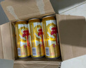 龍山泉本溪龍山泉啤酒  干啤易拉罐 天生新鮮 500mlx12聽本溪特產(chǎn) 曬單實拍圖