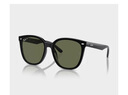 雷朋（RayBan）太陽鏡男女款時尚大框墨鏡舒適眼鏡0RB4423D 禮物 曬單實拍圖
