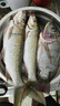光威（GW） 無法一本五代魚竿釣魚竿臺釣竿漁具釣竿手竿超輕超硬碳素漁具 5.4m 曬單實(shí)拍圖