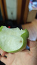 康田匯 陜西早酥梨 青皮梨子水果現(xiàn)貨新鮮時(shí)令應(yīng)季當(dāng)季水果整箱 3斤精選果【脆甜多汁】?jī)糁?.5斤 源頭直發(fā) 曬單實(shí)拍圖