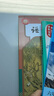 正版滬教版上海2025初中生課本教材教科書語文數(shù)學(xué)英語物理化學(xué)六年級上冊七年級上冊八年級上冊九年級下冊6789上冊下冊練習(xí)冊部分小升初暑期銜接預(yù)習(xí)教學(xué)測試備用 [六年級上]6本 語數(shù)英（課本+練習(xí)冊） 曬單實(shí)拍圖