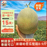 【新疆直發(fā)】正宗新疆哈密瓜 現(xiàn)摘網(wǎng)紋瓜西州蜜25號(hào)至愛整箱裝 8-9斤2-3枚【順豐包郵】 曬單實(shí)拍圖