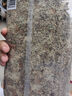 史丹利特級(jí)干水苔蝴蝶蘭專用營(yíng)養(yǎng)土蘭花文心蘭干苔蘚爬寵烏龜墊材 曬單實(shí)拍圖