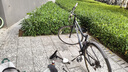 迪卡儂自行車配件手轉(zhuǎn)把式變速器山地城市騎行兼容 6速(右) 曬單實(shí)拍圖