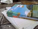 【新華書店正版】2025高中化學(xué)必修一二冊(cè)+選擇性必修一二三冊(cè)全套5本人教版高中化學(xué)書課本教材教科書人教版高中化學(xué)課本全套人民教育出版社 高中化學(xué)全套 曬單實(shí)拍圖