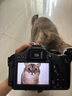 佳能（Canon）EOS600D750D700D760D800D850d學生入門拍照攝像二手單反相機 600D+18-55 【套機】 99新 曬單實拍圖