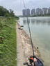 SHIMANO禧瑪諾萬福德紡車輪VANFORD萬福特遠(yuǎn)投路亞輪魚線輪金屬漁線輪子 24款2500SHG 左右手互換型 曬單實拍圖