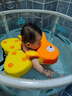 貝恩拉兒童游泳圈0-3歲 嬰兒免充氣防側翻泳圈寶寶洗澡玩具裝備水上用品 甲殼蟲(chóng)橙色【3個(gè)月-3歲】 曬單實(shí)拍圖