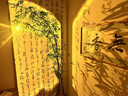 羽普小紅帽落地?zé)艨蛷d沙發(fā)旁邊高級感輕奢落地氛圍燈臥室網(wǎng)紅落地臺(tái)燈 黑色 調(diào)光調(diào)色（帶遙控器）可伸縮 N08 曬單實(shí)拍圖