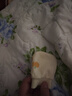 十月結晶 嬰兒防抓手套紗布新生兒用品寶寶防抓臉透氣 組合 貝貝南瓜 曬單實拍圖