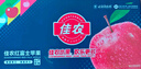 佳農(nóng) 煙臺(tái)紅富士蘋果 凈重10斤大果 果徑85mm+ 禮盒裝 生鮮水果 曬單實(shí)拍圖