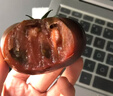 諸氏橙品【空運(yùn)】新疆黑魔番茄 草莓番茄 鐵皮西紅柿 當(dāng)季新鮮水果整箱 新疆黑魔番茄, 5斤 彩箱,約14-20枚 曬單實(shí)拍圖