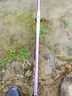 中逵小師達輕量大物竿7.2米鰱鳙釣魚(yú)竿手竿5H碳纖維超輕硬黑坑臺釣竿 7.5m 【極輕大物竿 送原裝竿稍一支】 曬單實(shí)拍圖