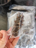 宮壹大連即食海參1斤15-25只 固形物超75%底播刺參鮮活海參加工免泡發(fā) 曬單實拍圖